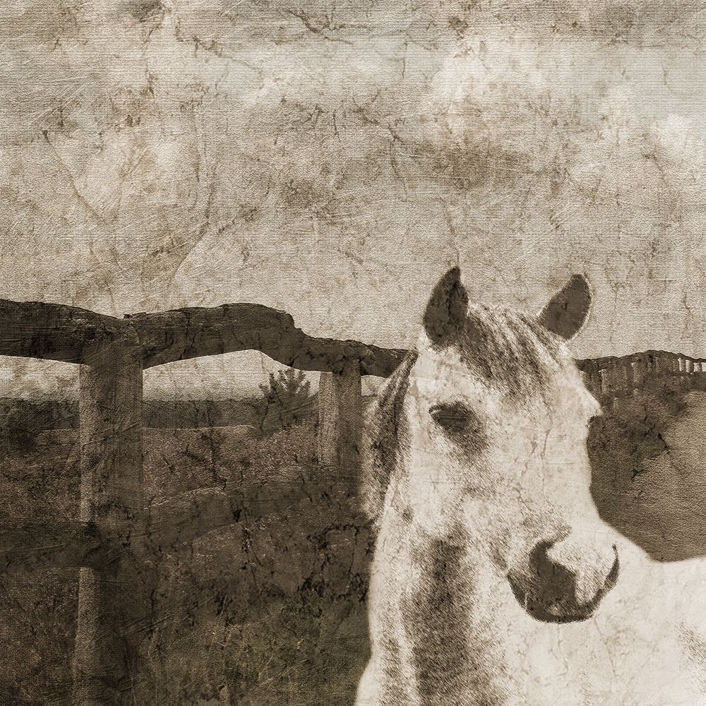 Riding West 2 art print by Sheldon Lewis for $57.95 CAD