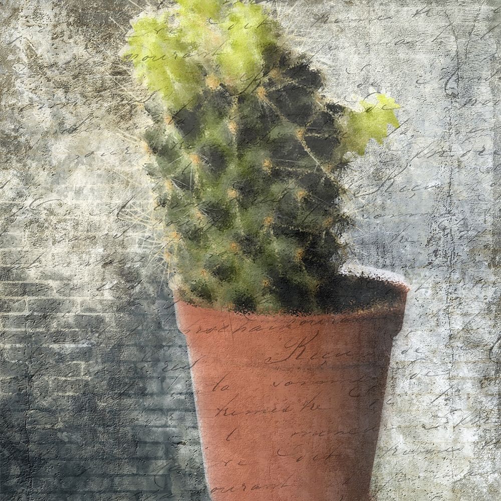 Planted art print by Sheldon Lewis for $57.95 CAD