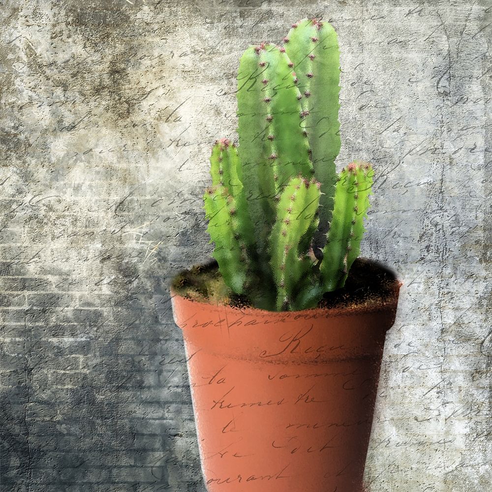 Planted 2 art print by Sheldon Lewis for $57.95 CAD