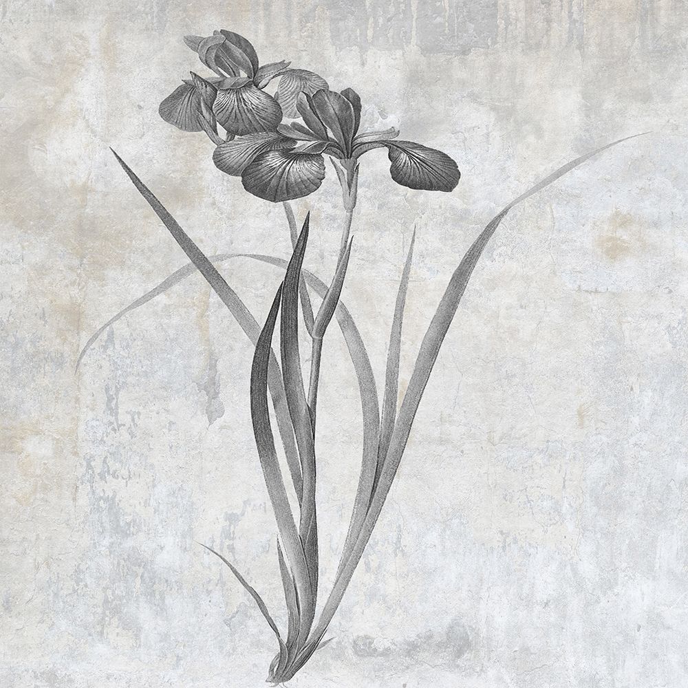Grey Earth Balance 2 art print by Sheldon Lewis for $57.95 CAD