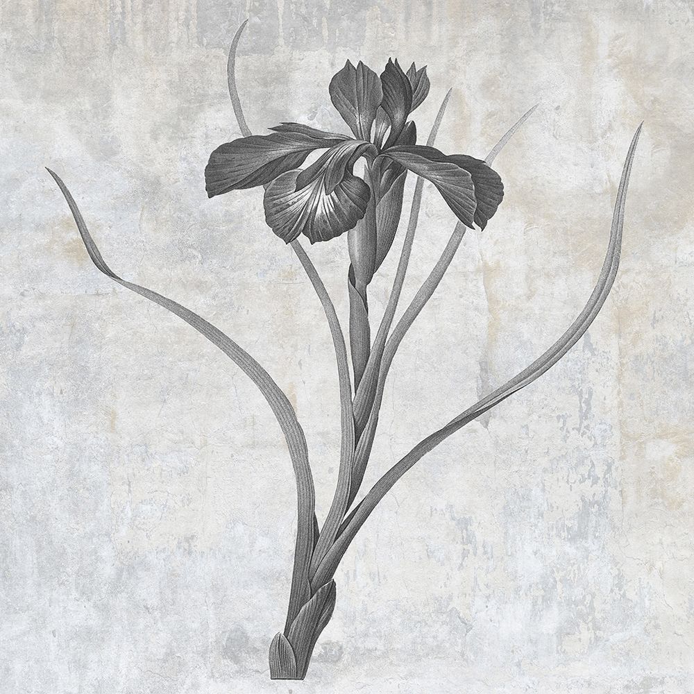 Grey Earth Balance 3 art print by Sheldon Lewis for $57.95 CAD