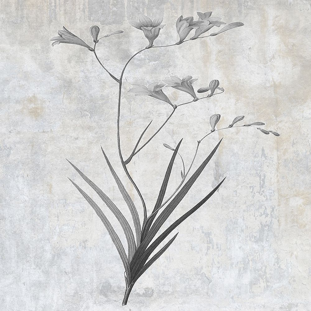 Grey Earth Balance 4 art print by Sheldon Lewis for $57.95 CAD