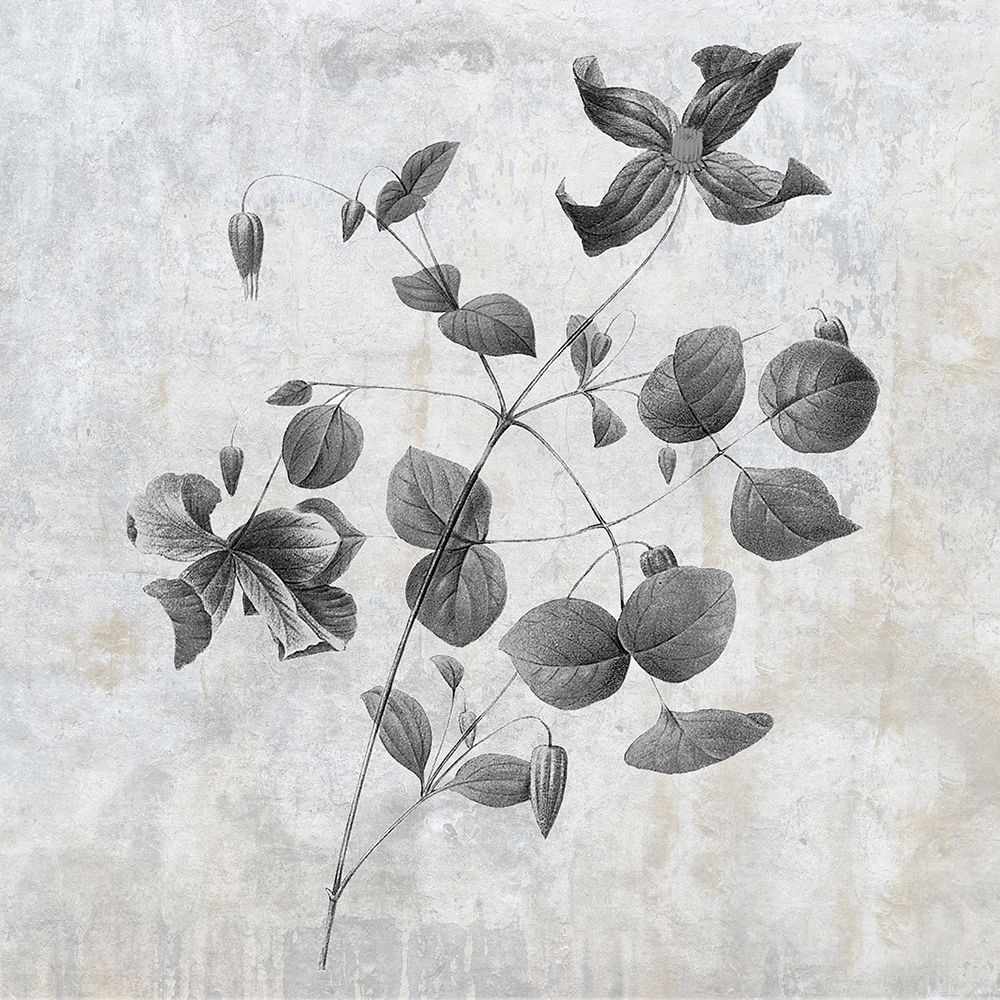 Grey Earth Balance 8 art print by Sheldon Lewis for $57.95 CAD