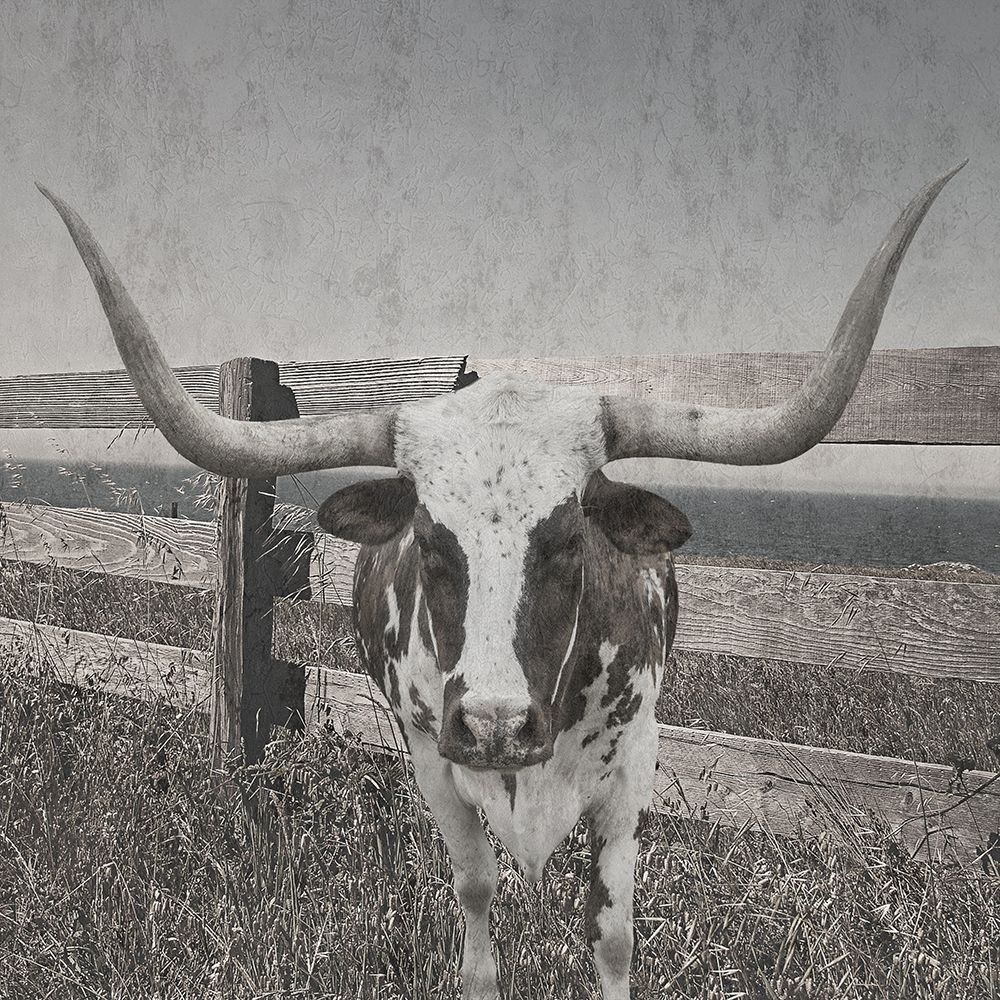 Barn Life art print by Sheldon Lewis for $57.95 CAD