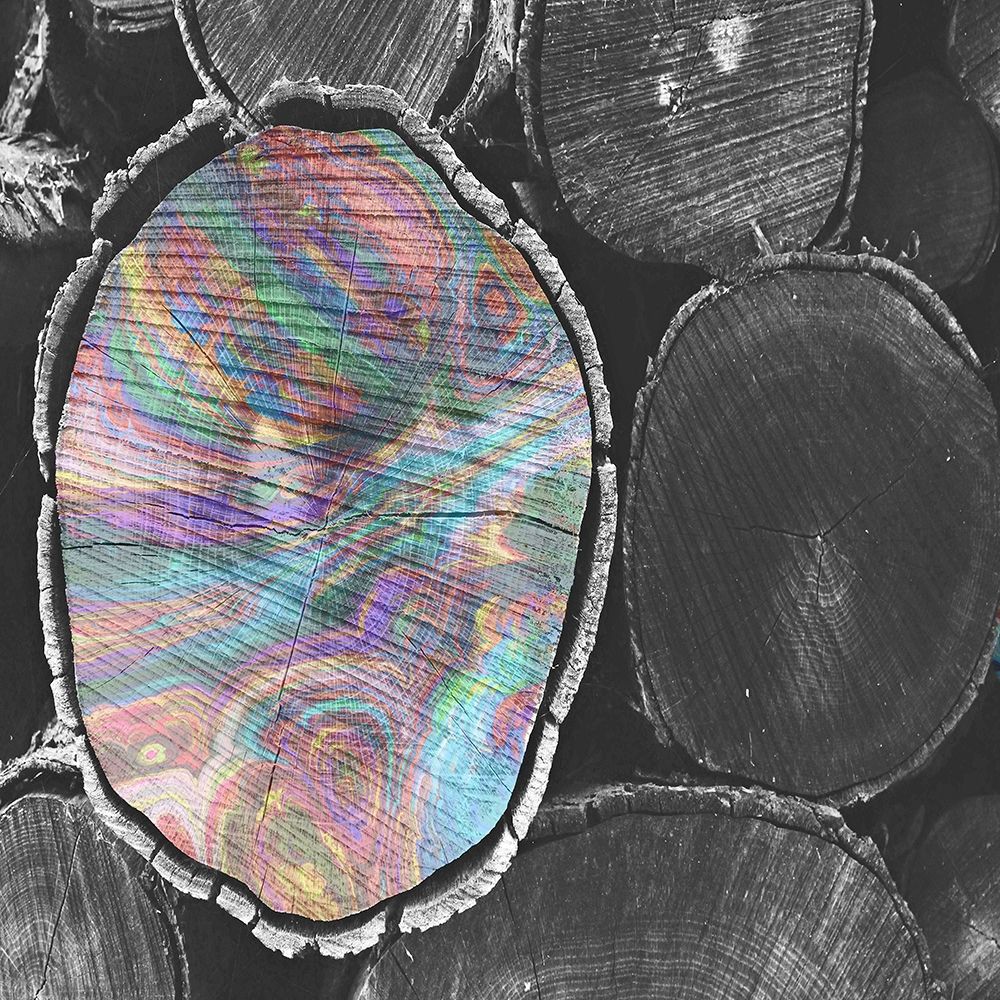 Jewel Toned Logs art print by Sheldon Lewis for $57.95 CAD