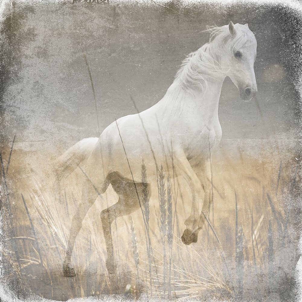 Angel In The Field art print by Sheldon Lewis for $57.95 CAD