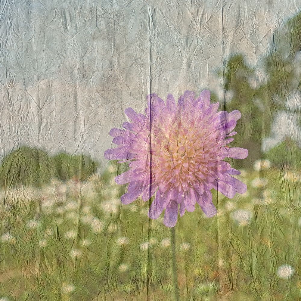 Vintage Bloom 2 art print by Sheldon Lewis for $57.95 CAD