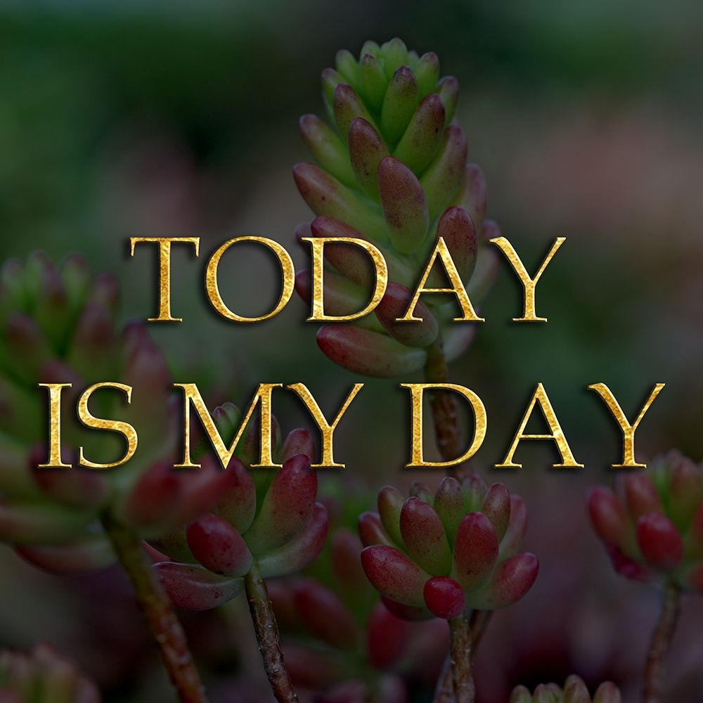 My Day art print by Sheldon Lewis for $57.95 CAD