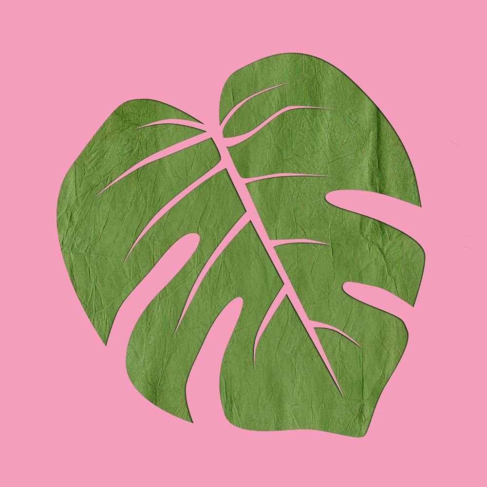 PinK Paradise art print by Sheldon Lewis for $57.95 CAD