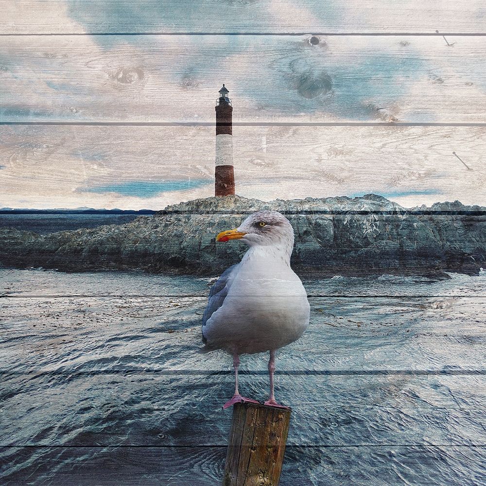 Evening Bay Watch art print by Sheldon Lewis for $57.95 CAD