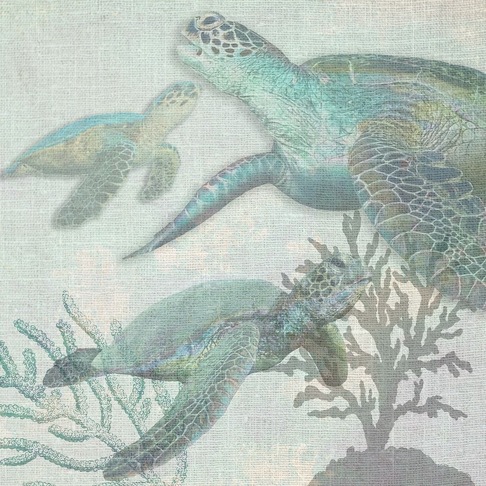 Turtles art print by Sheldon Lewis for $57.95 CAD