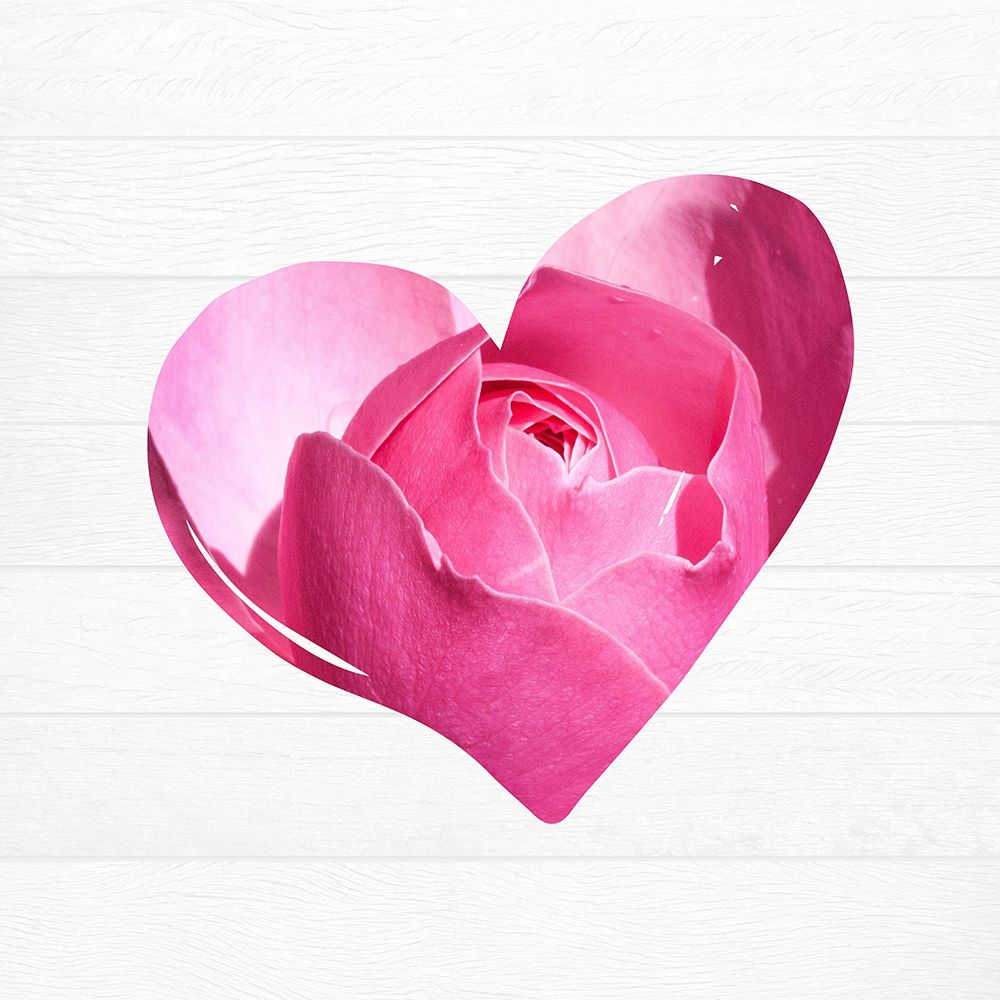 Valentines Rose art print by Sheldon Lewis for $57.95 CAD
