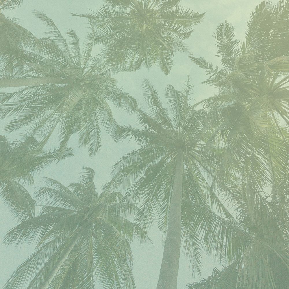 Palm Grove 2 art print by Sheldon Lewis for $57.95 CAD