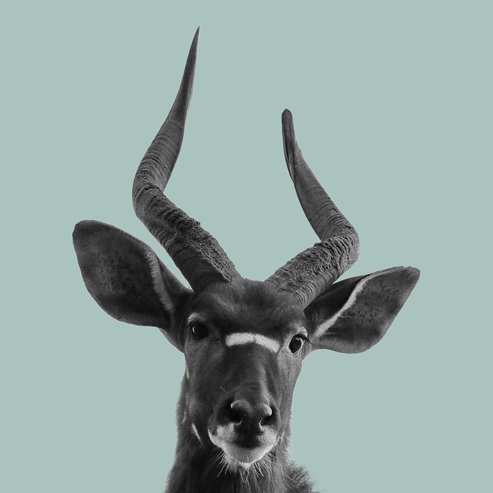 Heads Up art print by Sheldon Lewis for $57.95 CAD