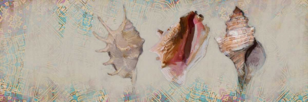 Shells art print by Sarah Butcher for $57.95 CAD