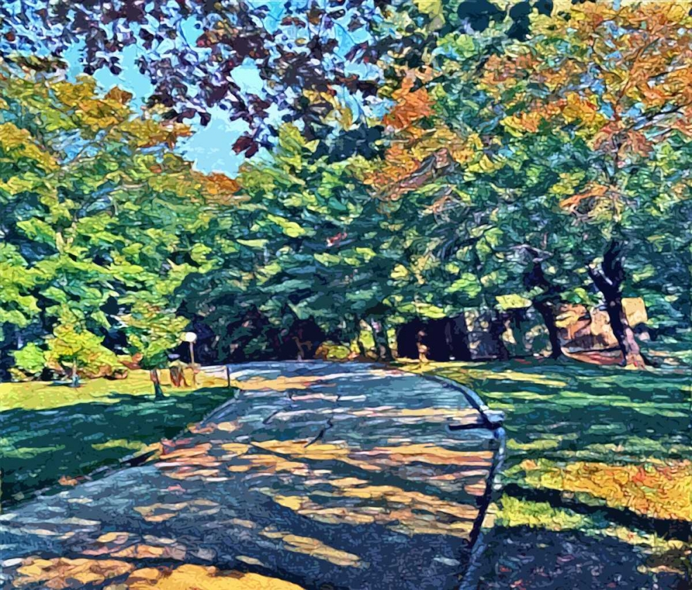 Shady View art print by Sarah Butcher for $57.95 CAD