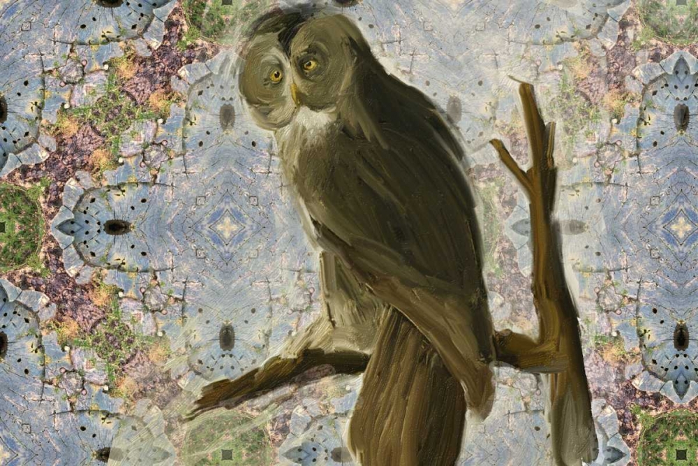 Wise Owl art print by Sarah Butcher for $57.95 CAD