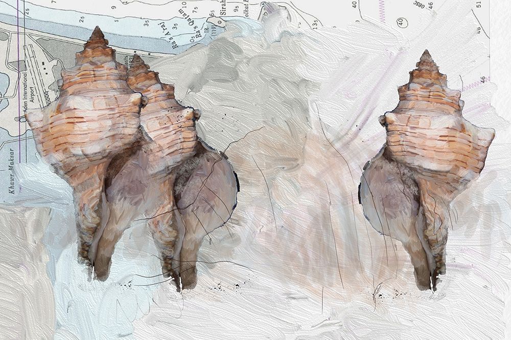 Maps And Shells art print by Sarah Butcher for $57.95 CAD