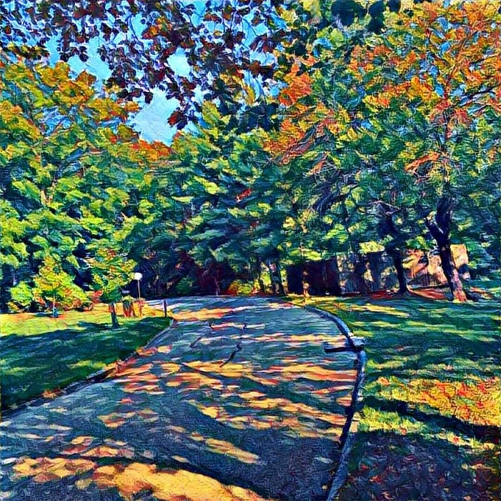 Shadyview Lane art print by Sarah Butcher for $57.95 CAD