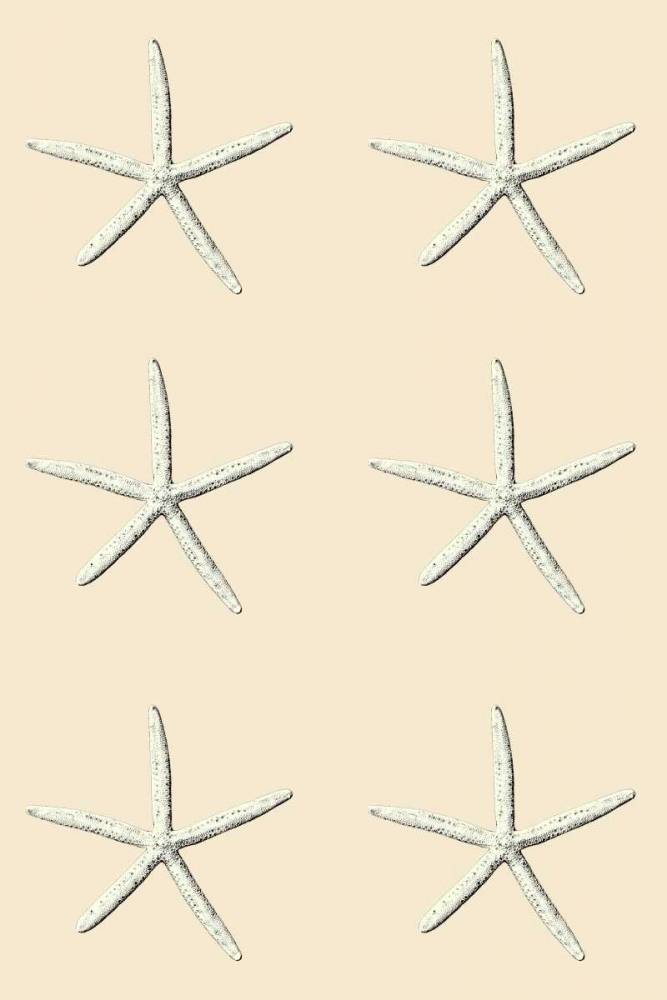 SeaStar 2 Multi Cream art print by Tina Carlson for $57.95 CAD
