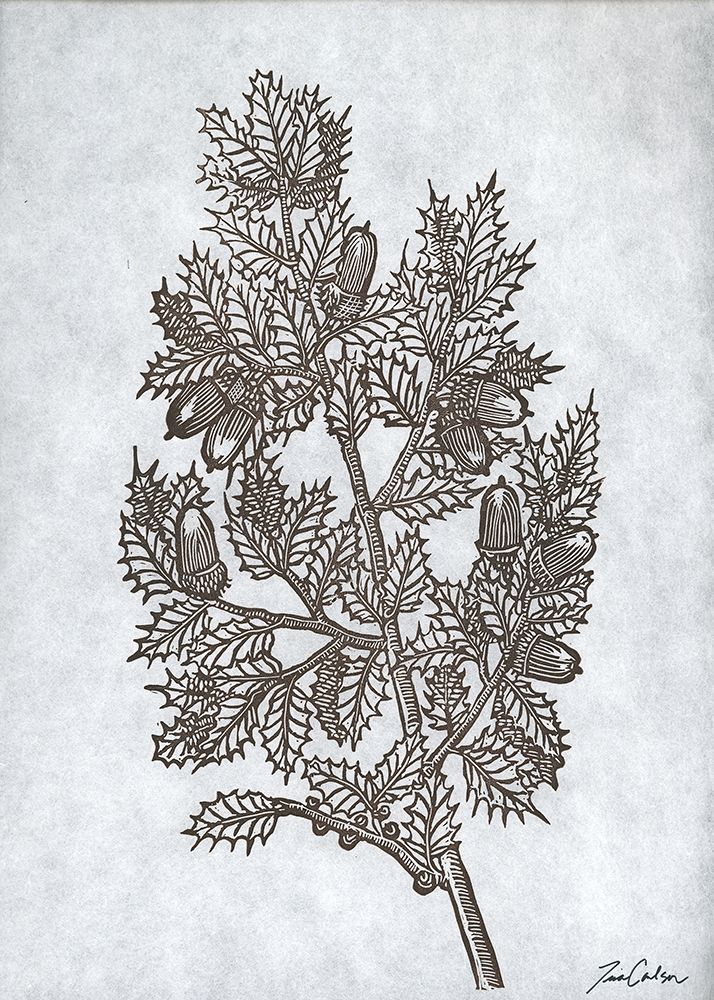 Oak Tree 3 art print by Tina Carlson for $57.95 CAD