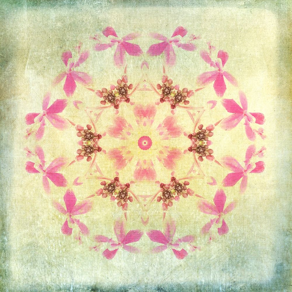 Orchid Circle 1 art print by Tina Carlson for $57.95 CAD