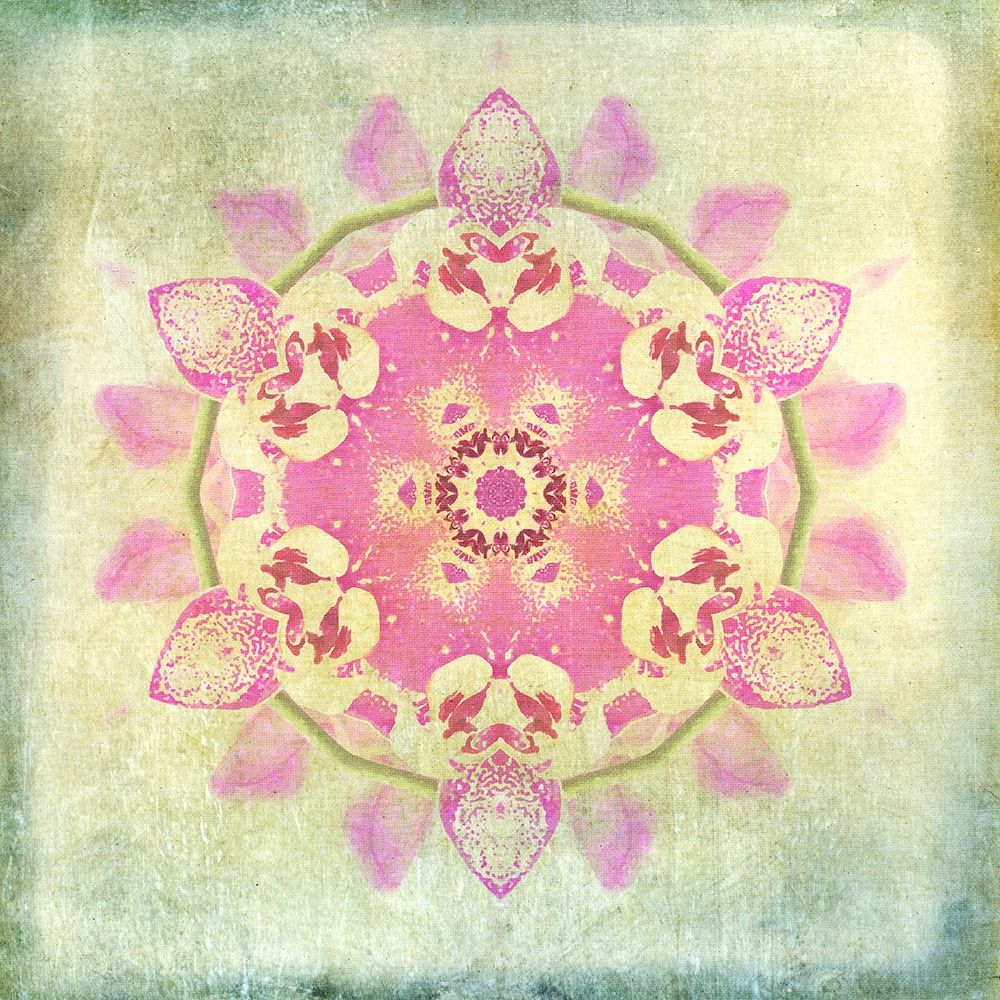 Orchid Circle 2 art print by Tina Carlson for $57.95 CAD