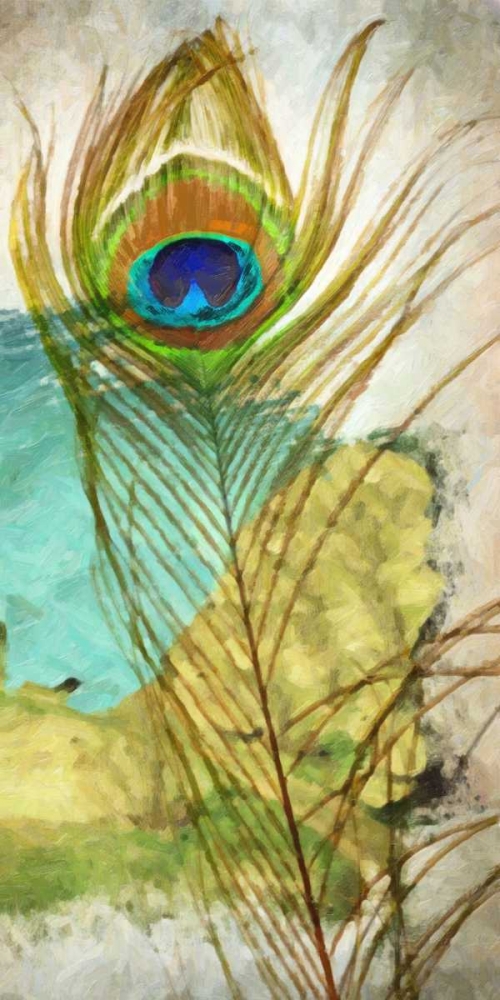 PEACOCK FEATHER 1 art print by Taylor Greene for $57.95 CAD