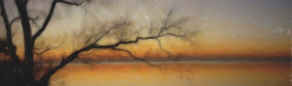 Tranquil Tree Silhouette art print by Taylor Greene for $57.95 CAD