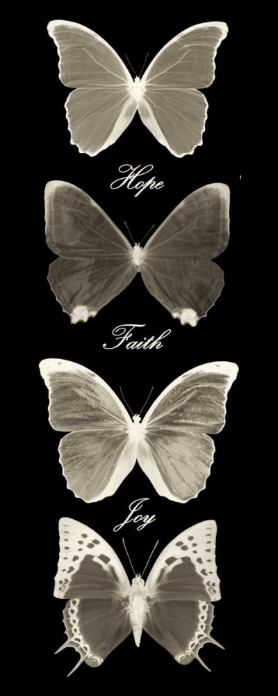Hope Faith Joy  Butterflies 1 art print by Taylor Greene for $57.95 CAD