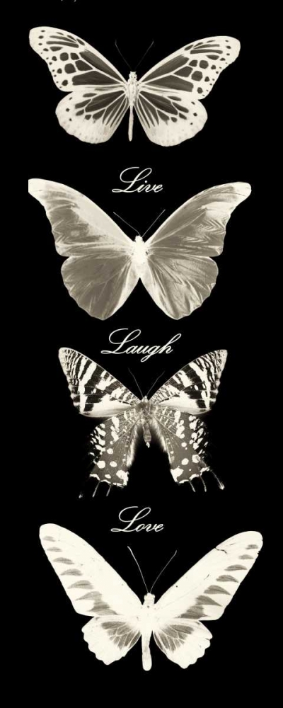 Live Laugh Love Butterflies art print by Taylor Greene for $57.95 CAD