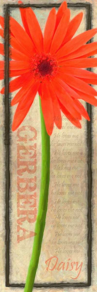 GERBERA DAISY art print by Taylor Greene for $57.95 CAD