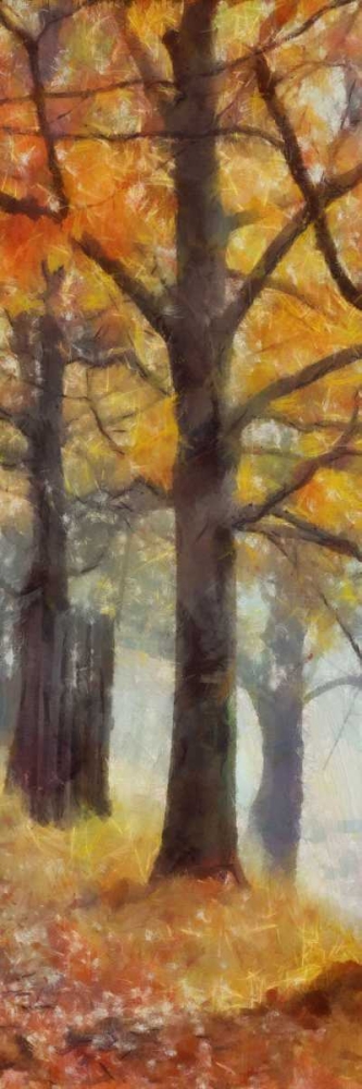 AMBER TRAIL PANEL II art print by Taylor Greene for $57.95 CAD