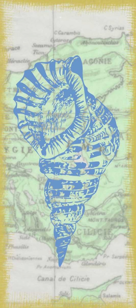 Shell art print by Taylor Greene for $57.95 CAD