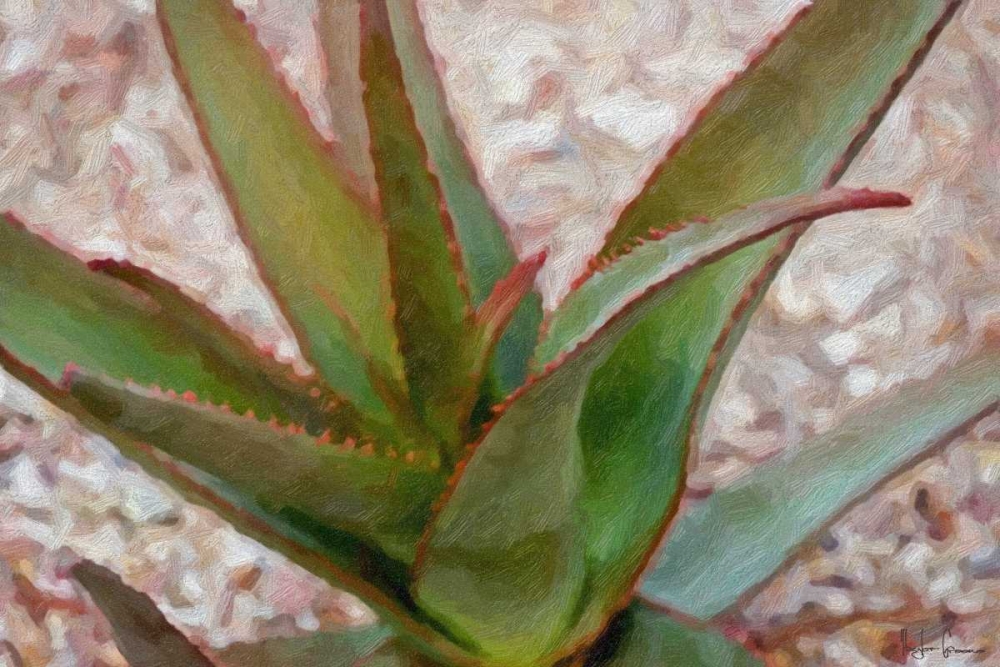 Desert Aloe art print by Taylor Greene for $57.95 CAD