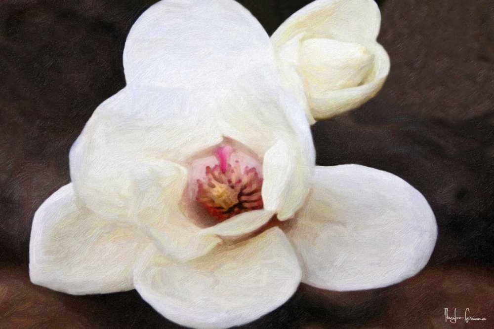 Magnolia In Bloom art print by Taylor Greene for $57.95 CAD
