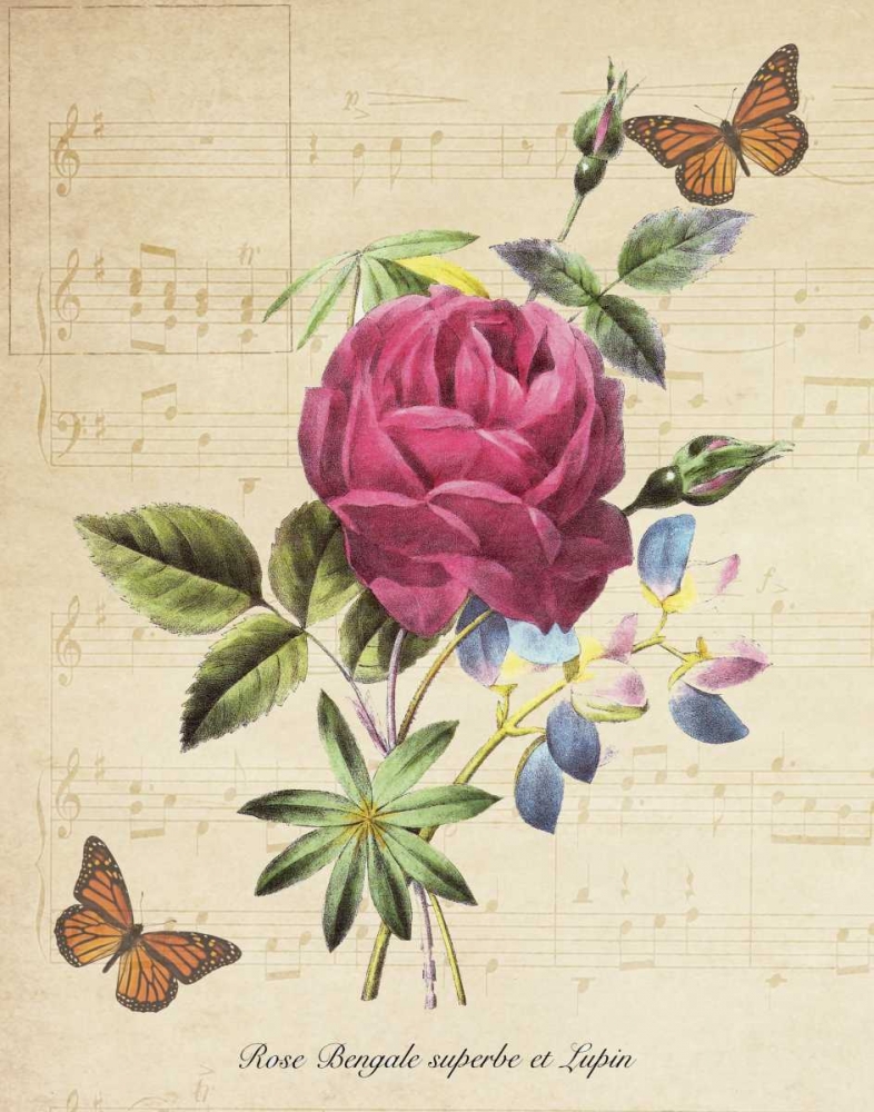 Rose Superb A art print by Taylor Greene for $57.95 CAD