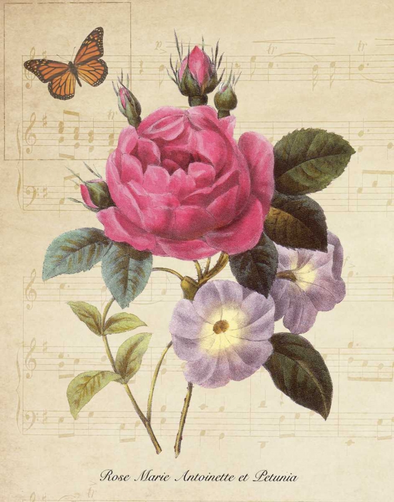 Rose Superb II art print by Taylor Greene for $57.95 CAD