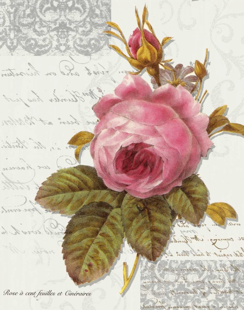 Rose On Scroll I art print by Taylor Greene for $57.95 CAD