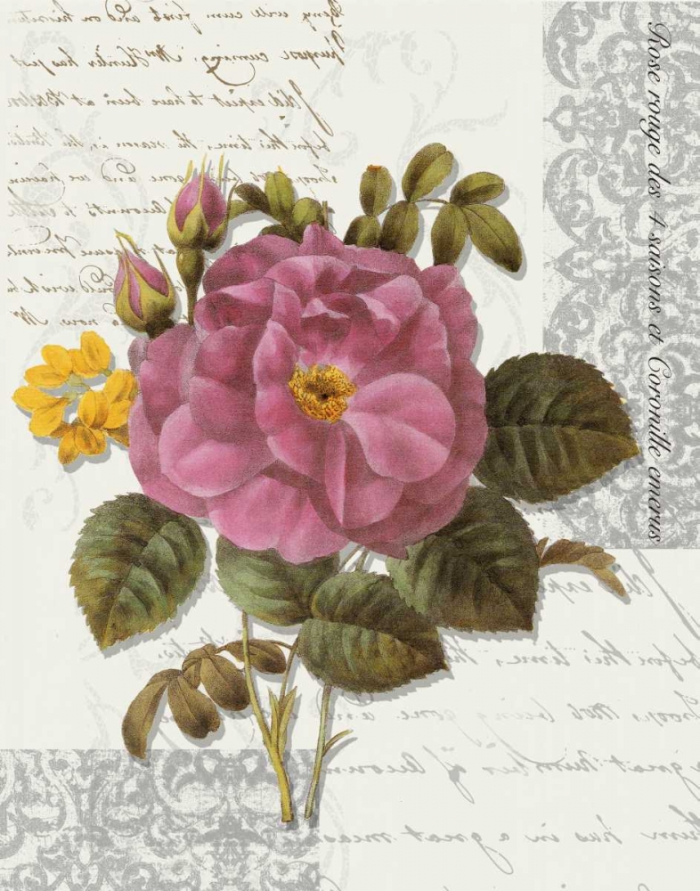 Rose On Scroll II art print by Taylor Greene for $57.95 CAD