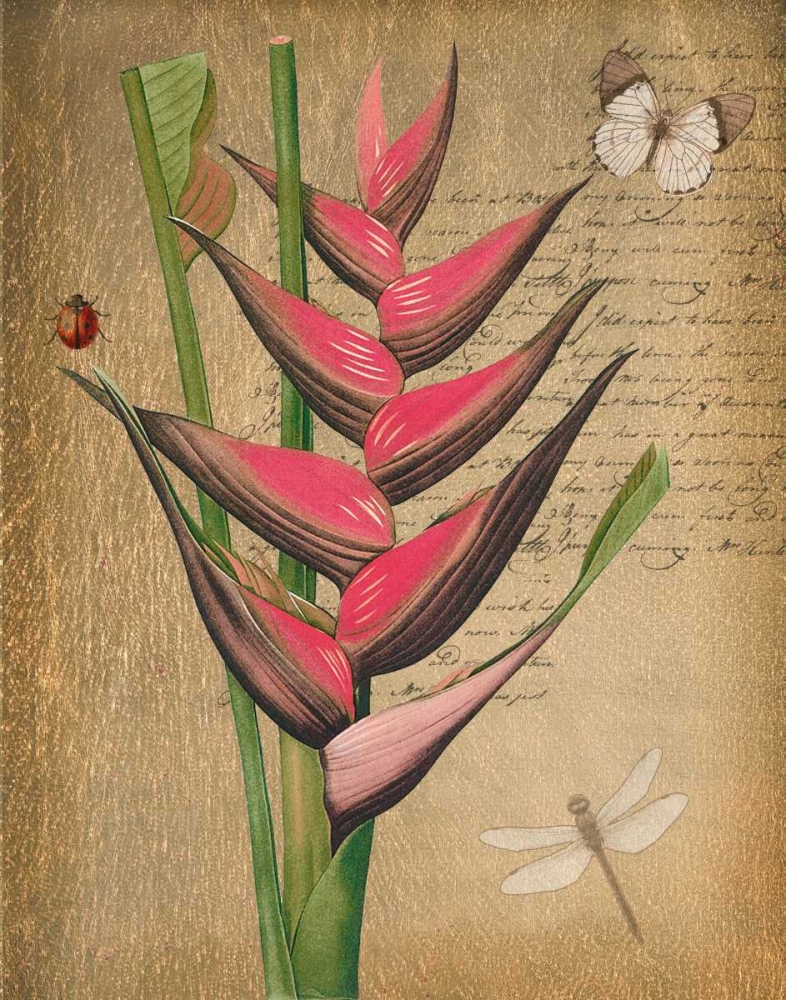 BROMELIAD ON GOLD art print by Taylor Greene for $57.95 CAD