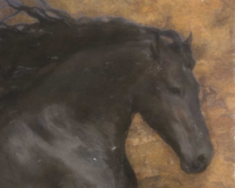 BLACK MARE art print by Taylor Greene for $57.95 CAD
