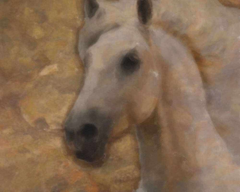 GOLDEN MARE art print by Taylor Greene for $57.95 CAD