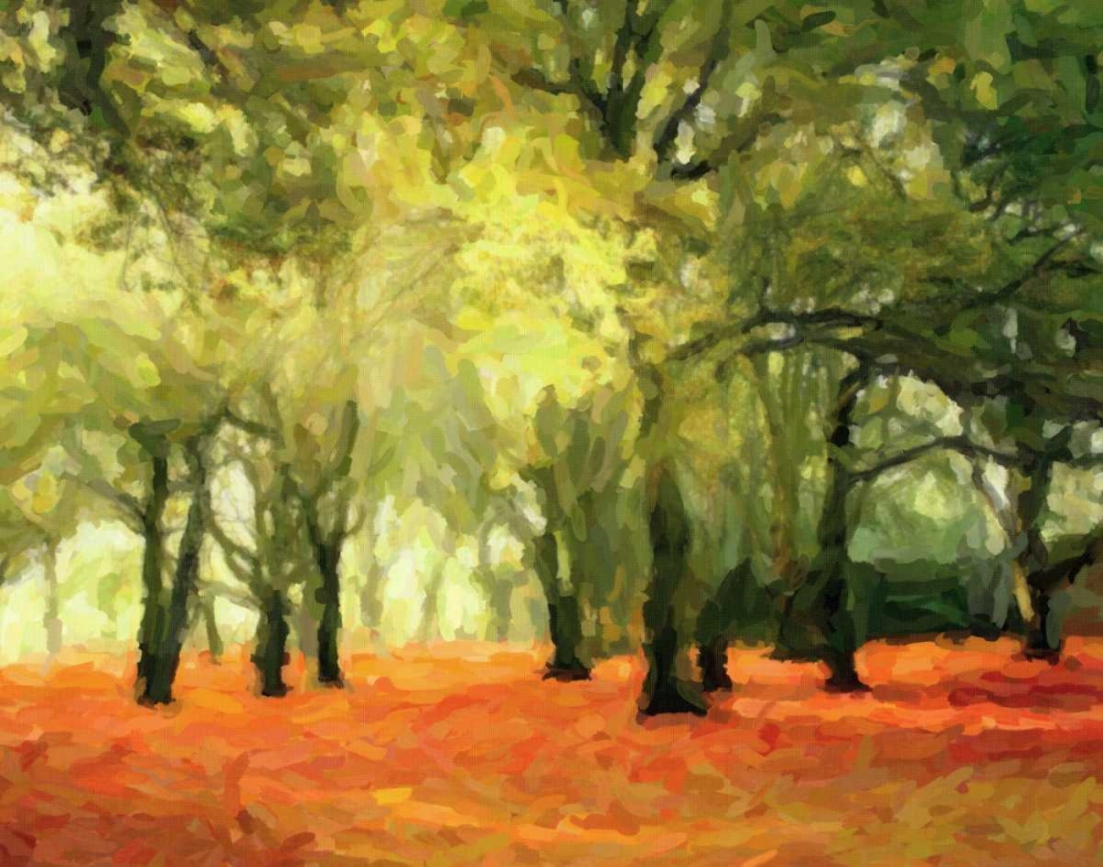 CRIMSON FOREST FLOOR art print by Taylor Greene for $57.95 CAD
