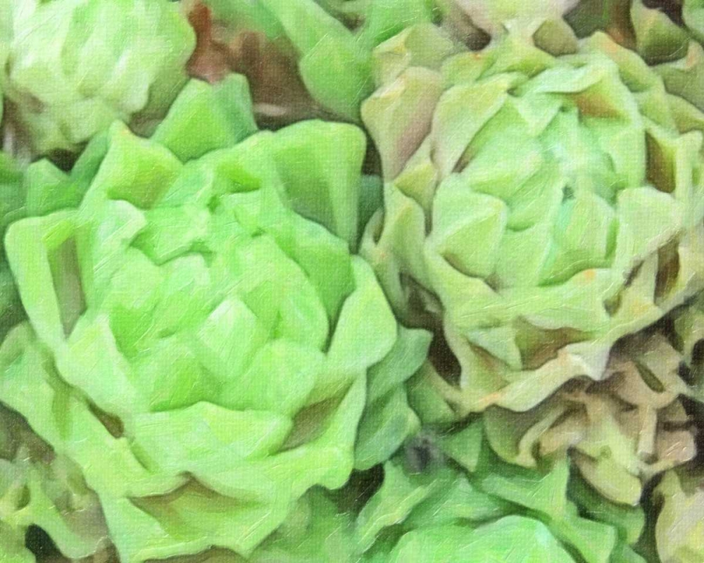 ABSTRACT SUCCULENT DETAIL art print by Taylor Greene for $57.95 CAD