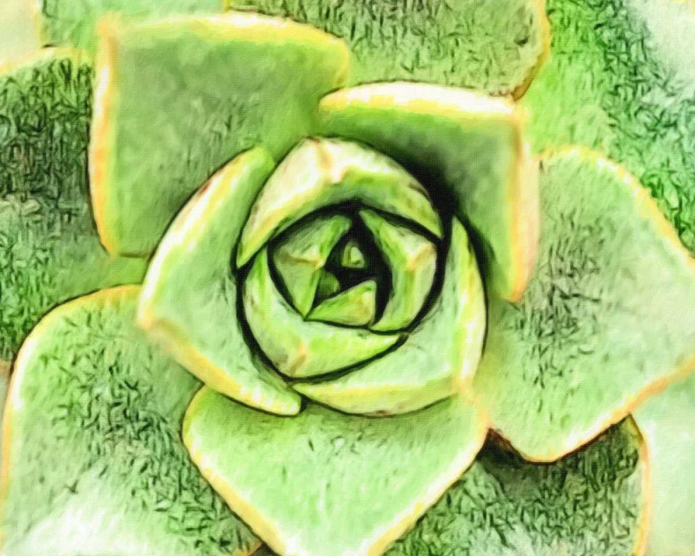 BEAUTIFUL AGAVE art print by Taylor Greene for $57.95 CAD