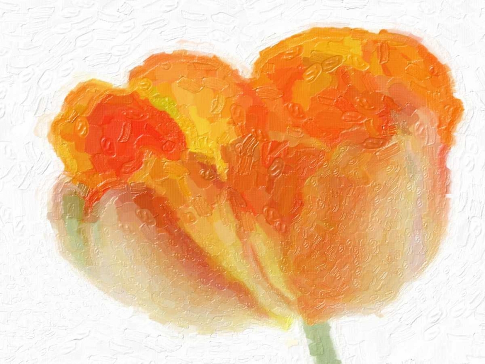 Tulip Tango art print by Taylor Greene for $57.95 CAD