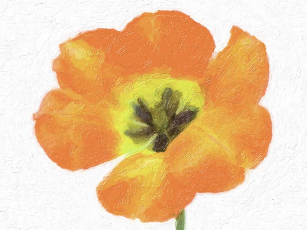 TANGO ROSE art print by Taylor Greene for $57.95 CAD