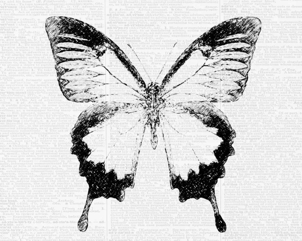 Butterfly 1 art print by Taylor Greene for $57.95 CAD
