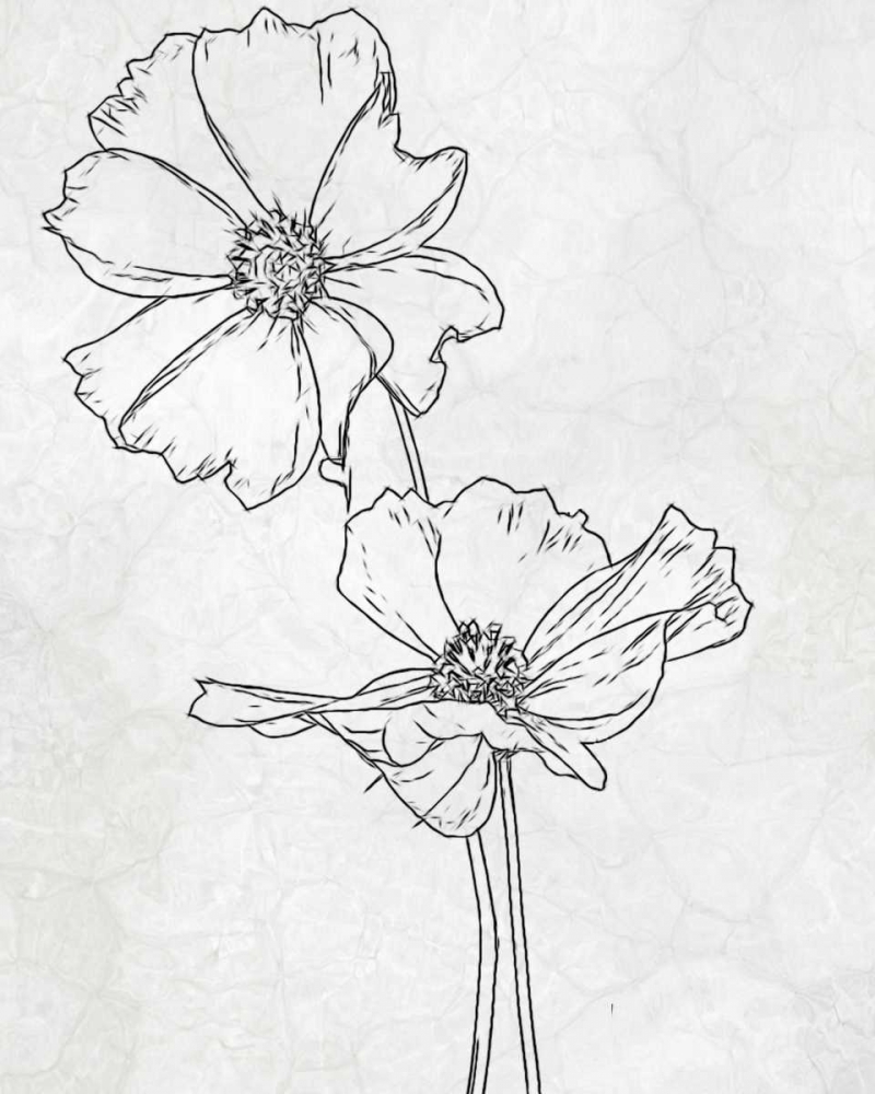 FLOWER 1 art print by Taylor Greene for $57.95 CAD